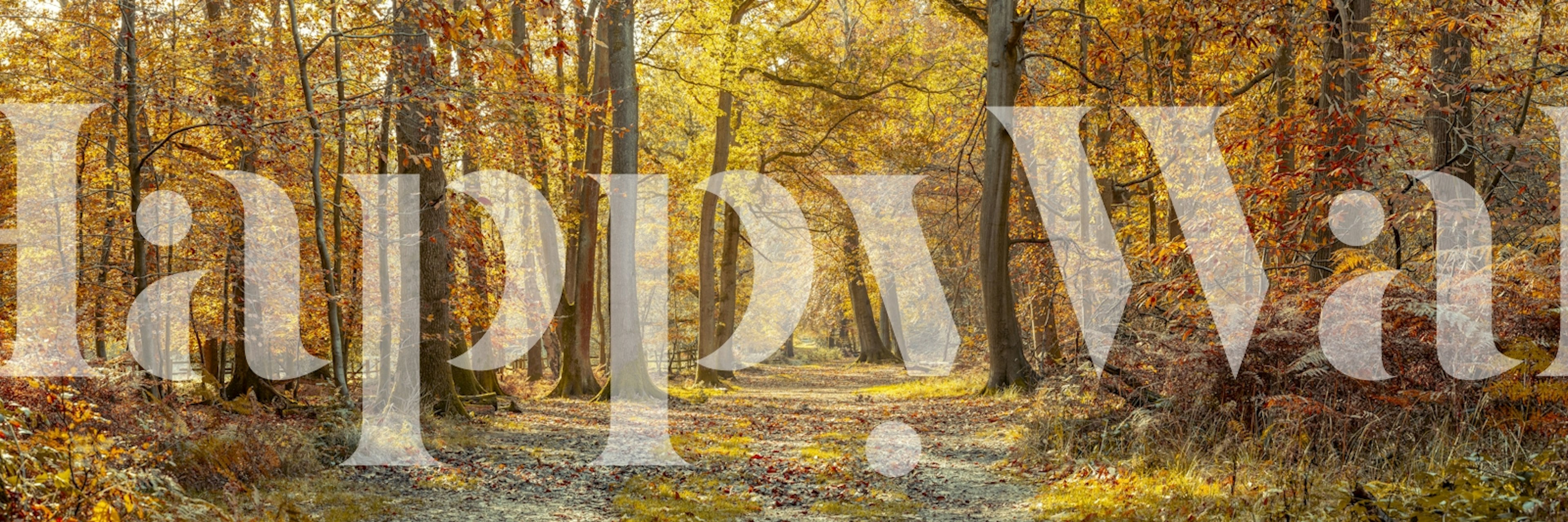 Tapeta Amber Forest Journey w pokoju