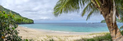 Τοιχογραφία