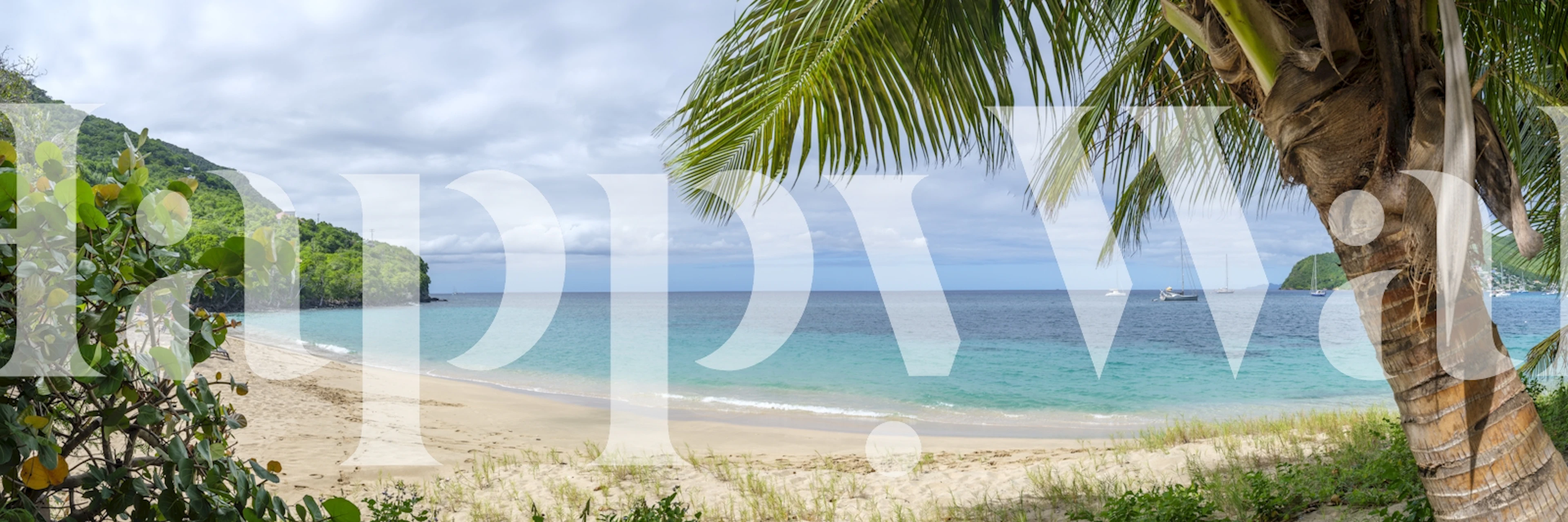 Tropical beach scene with palm trees and turquoise waters wallpaper
