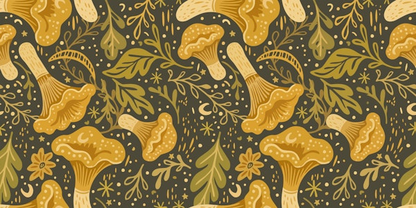 Charming Forest Encounter