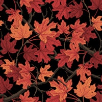 Red Autumn maple leaves on black tapete