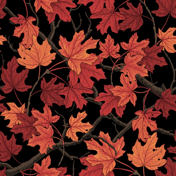 Red Autumn maple leaves on black
