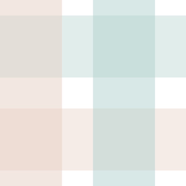 Rustic Plaid Aqua and Powder Rose