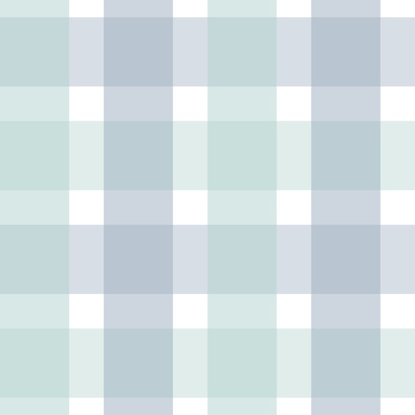 Rustic Plaid Aqua and Powder Blue Small