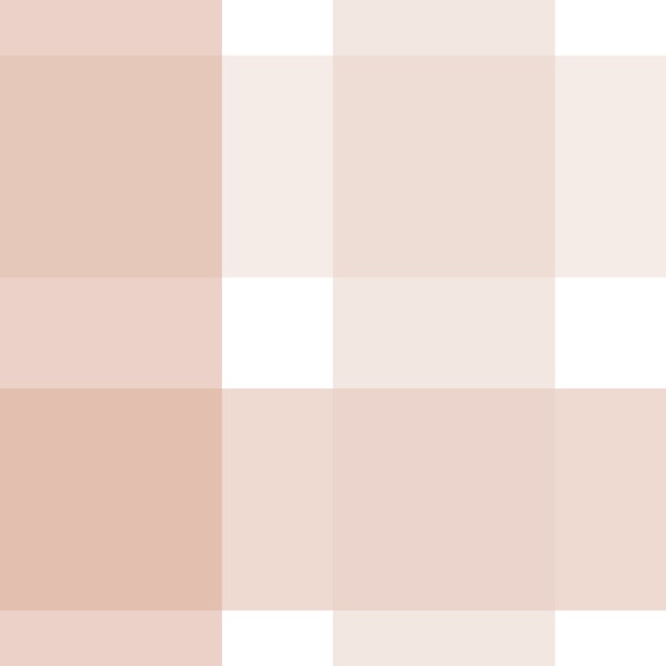 Rustic Plaid Powder Rose and Coral