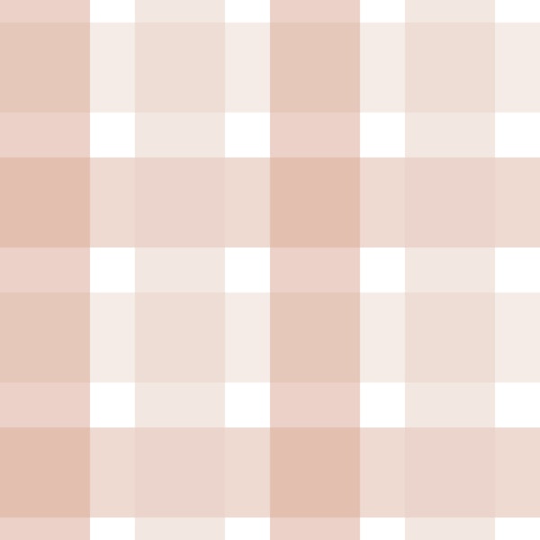 Rustic Plaid Powder Rose and Coral Small