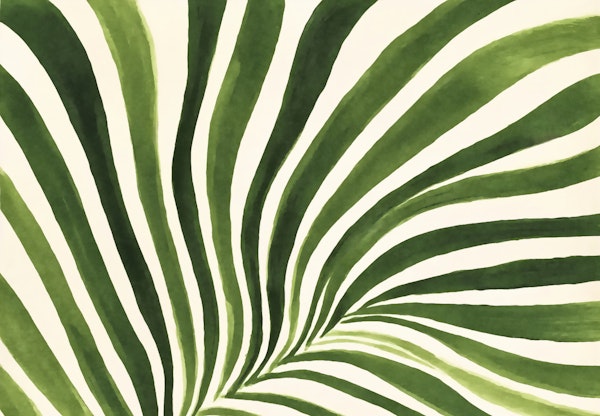 Green Fluid Calm Balance