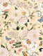 Opulent Summer Peony Pattern Garden
