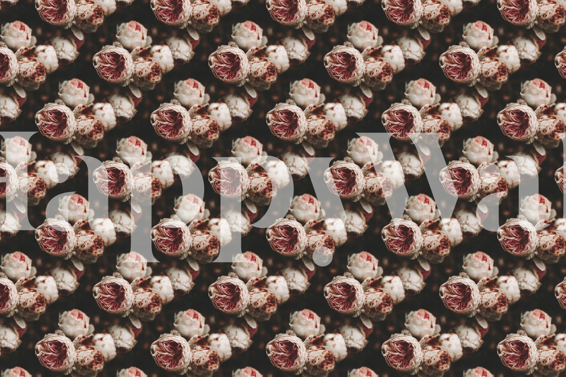 Flowers Wild Roses wallpaper in a room