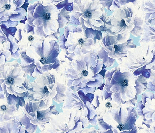 Full Blown Roses in Soft Blue Purple