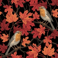 Robins in maple tree on black tapete