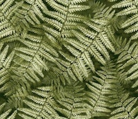 Fern Leaves papel pintado