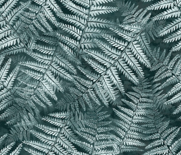 Fern Leaves03