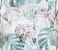 Monstera WhiteBG papiers peint