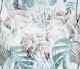 Monstera WhiteBG