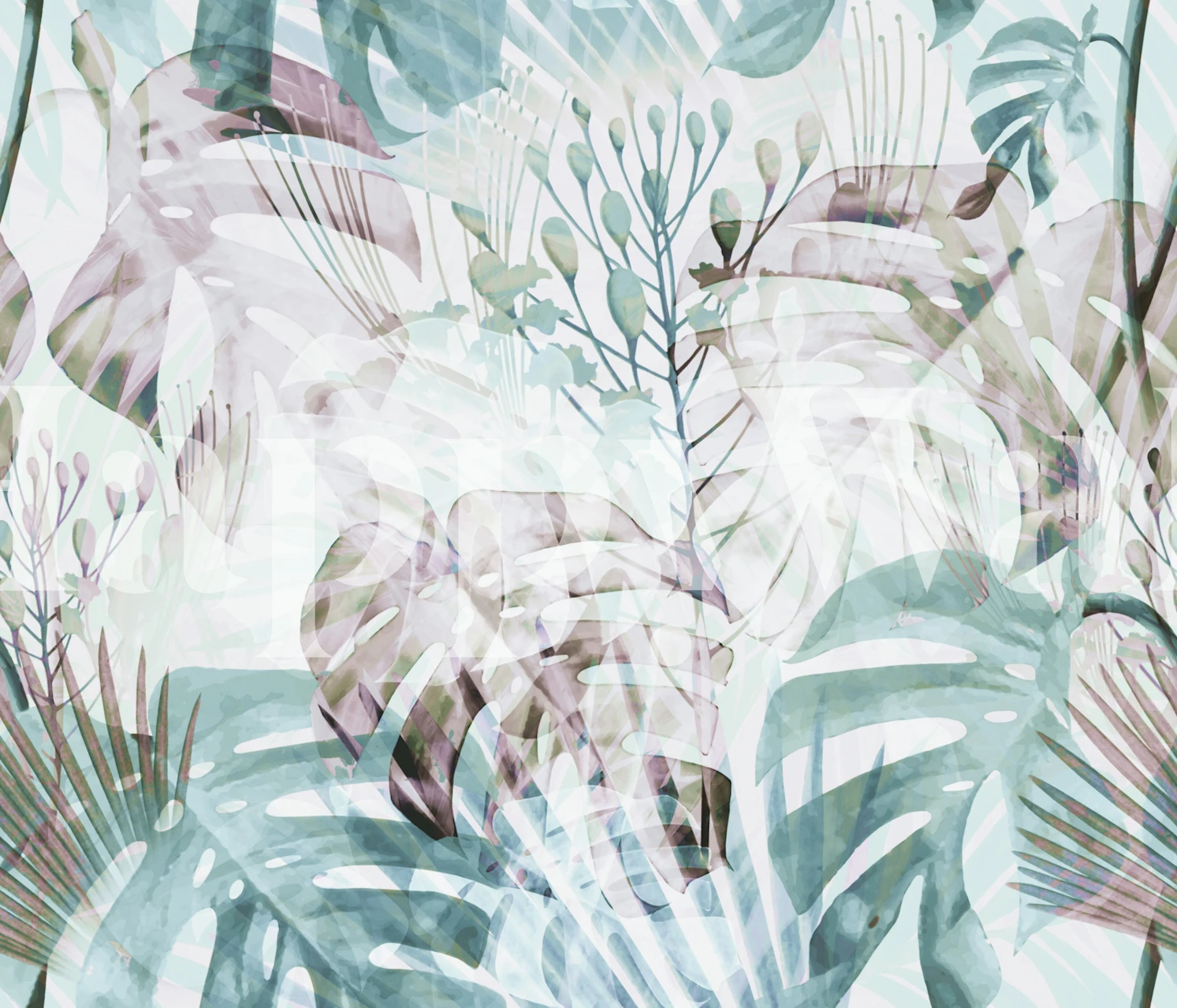 Monstera WhiteBG wallpaper displayed in a room