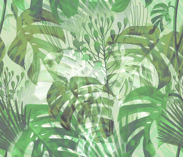 Monstera Green