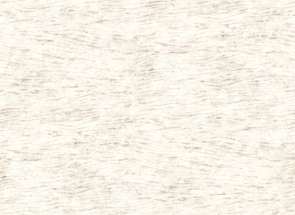 Abstract stone texture neutral cream