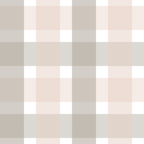 Rustic Plaid Powder Rose and Abbey Road S