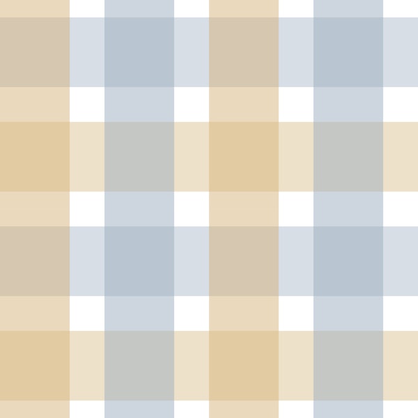 Rustic Plaid Soft Mustard and Powder Blue S