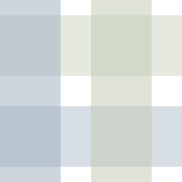 Rustic Plaid Sage Green And Powder Blue
