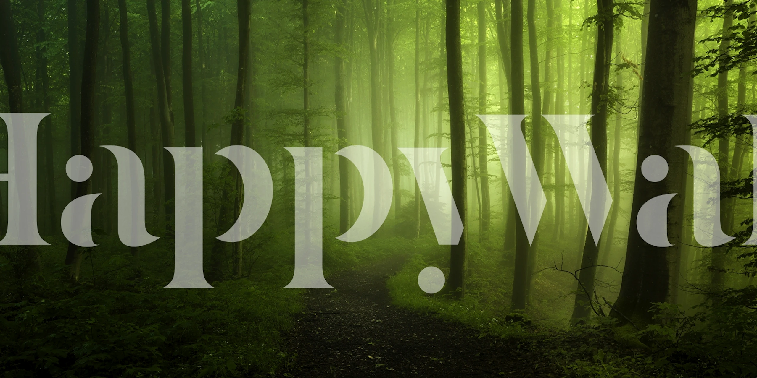 Skov tapet med frodig grønne