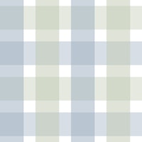 Rustic Plaid Sage Green and Powder Blue S papiers peint