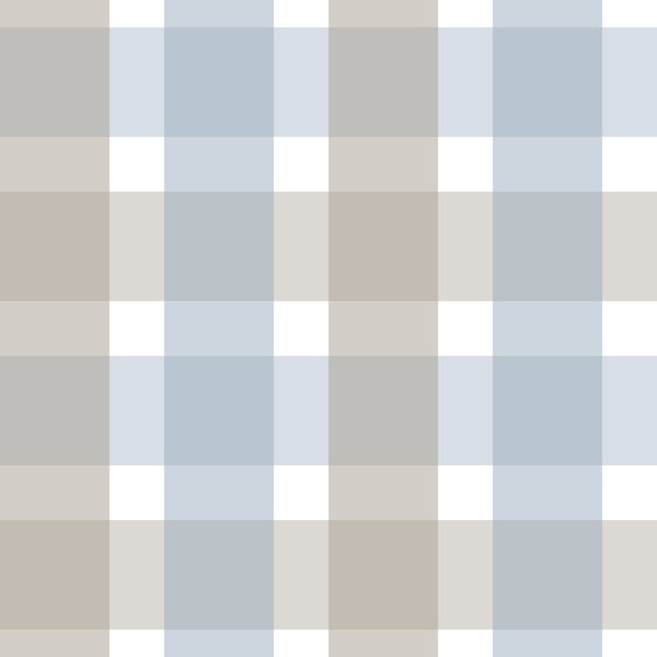 Rustic Plaid Abbey Road and Powder Blue S