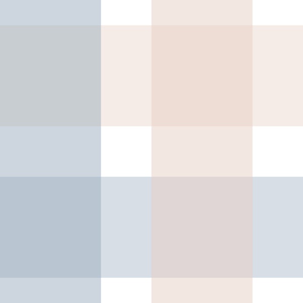 Rustic Plaid Powder Rose and Blue Checks