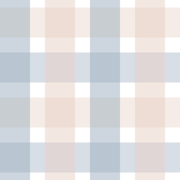Rustic Plaid Powder Rose and Blue Checks S