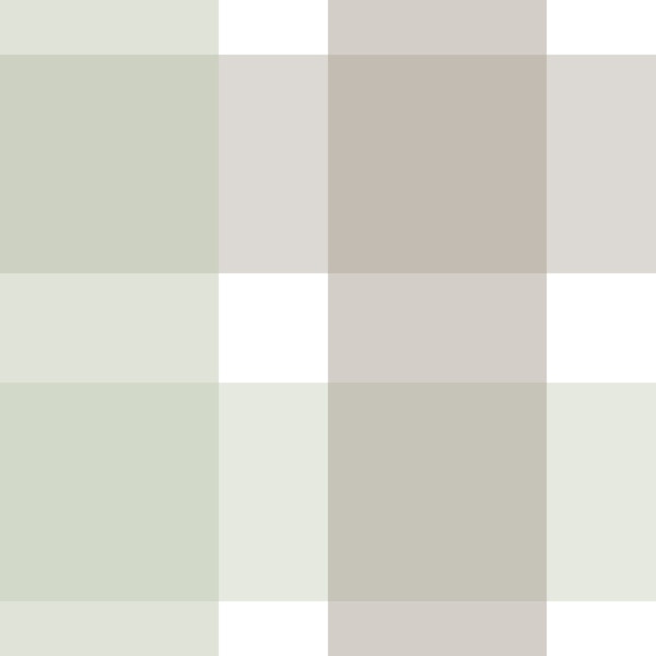 Rustic Plaid Sage Green and Abbey Road Checks
