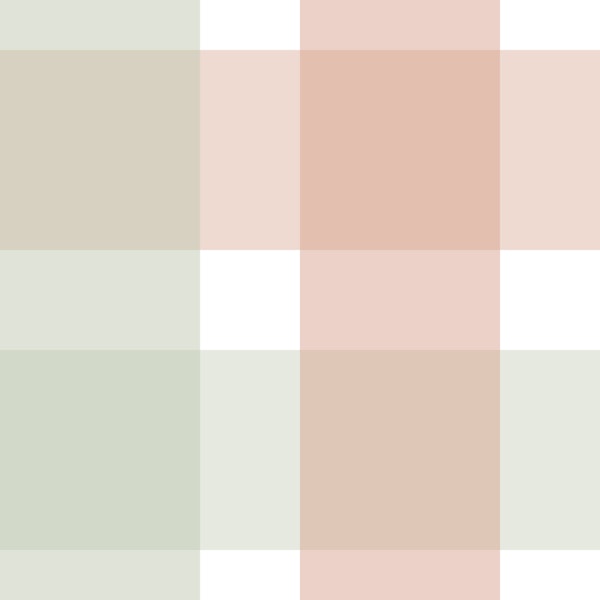 Rustic Plaid Sage Green and Soft Terracotta