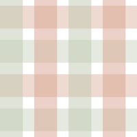 Rustic Plaid Sage Green and Soft Terracotta S papiers peint
