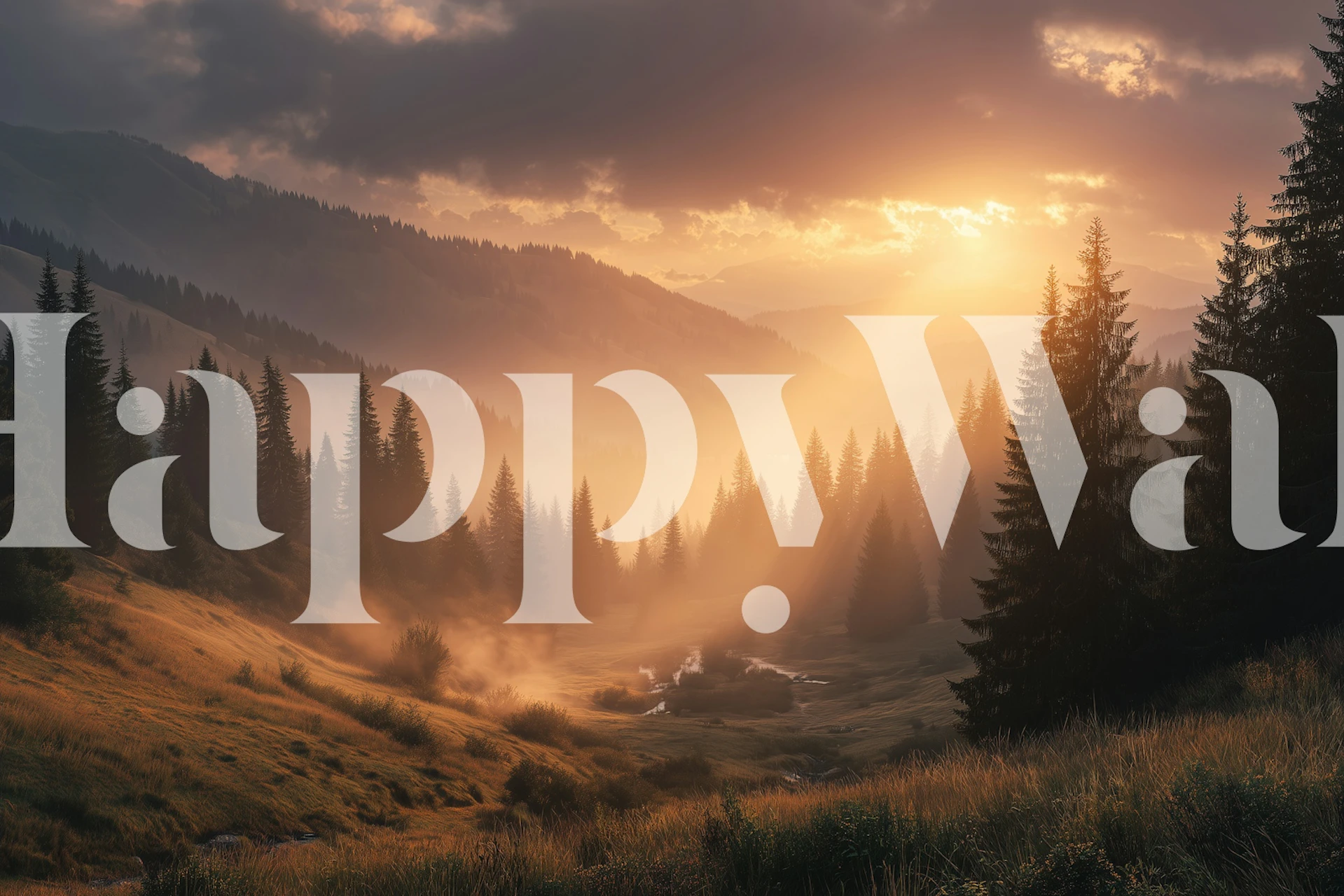 Morning Light Forest wallpaper displayed in a room