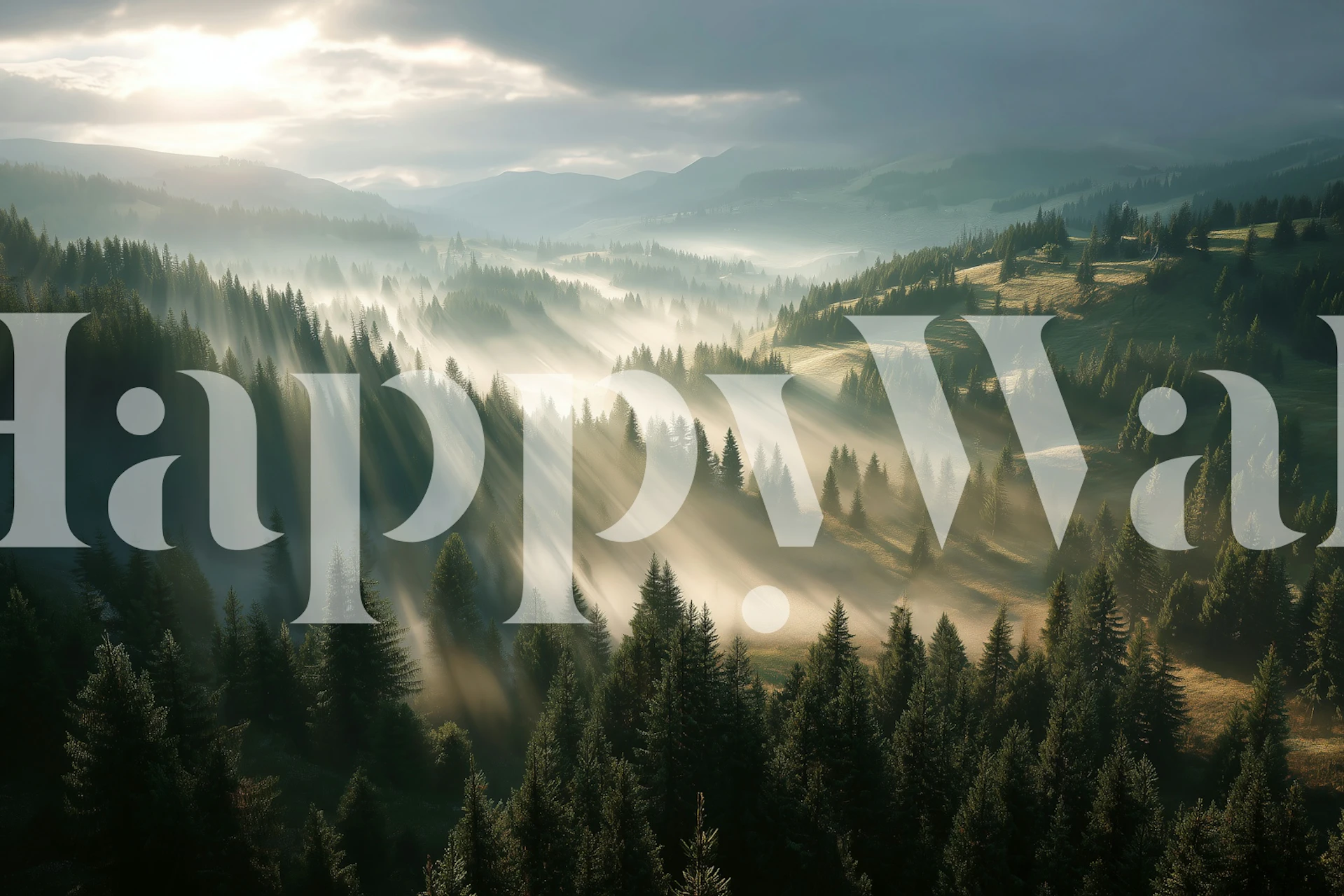 Misty forest landscape with morning light beams wallpaper