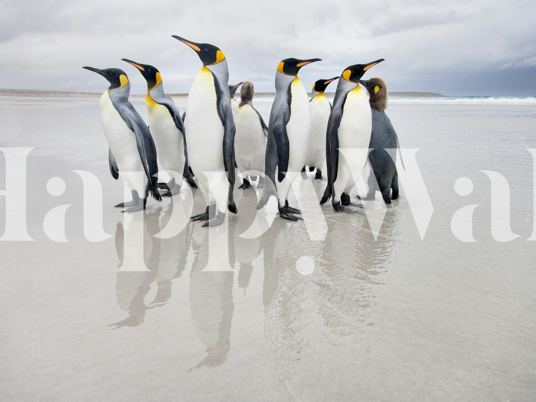 Kejserpingviner på isvægmaleri