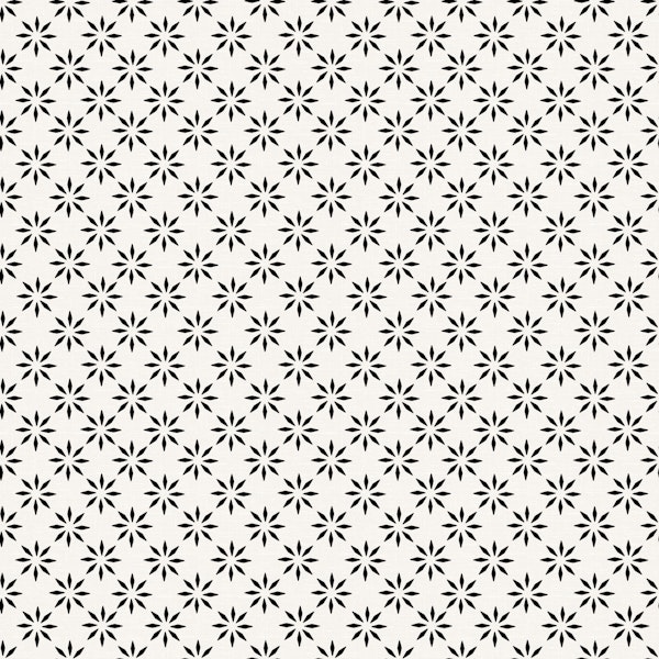 Black and White Minimal Scandi Stardust