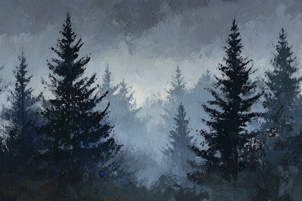Misty Dark Forest Landscape
