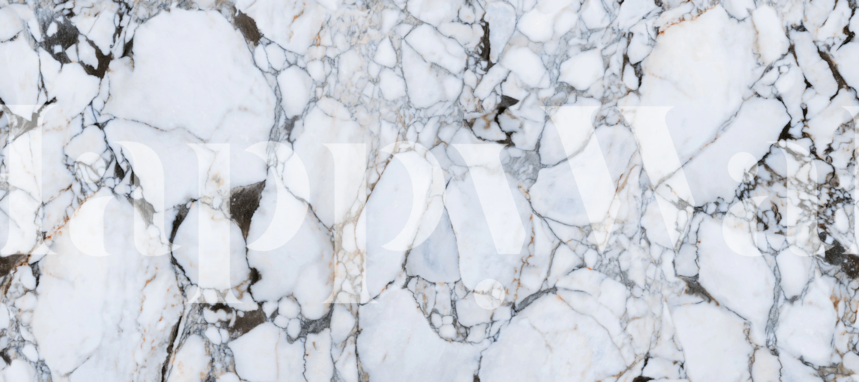 Breccia Medicea White Marble tapet i et rom