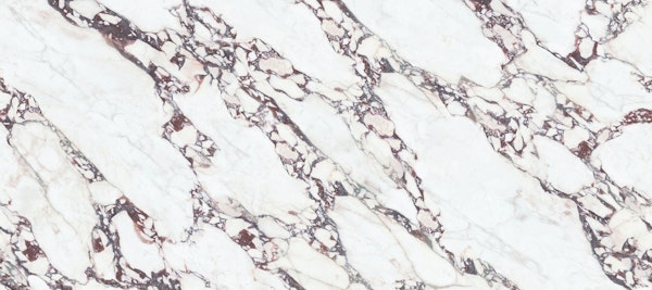 Calacatta Viola Marble