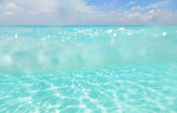 Dive into the Caribbean Sea 5