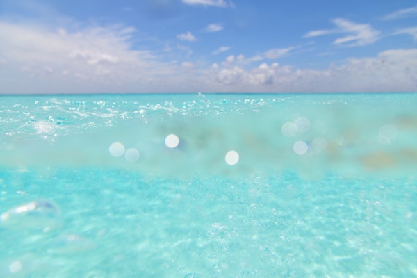 Dive into the Caribbean Sea Bliss 1