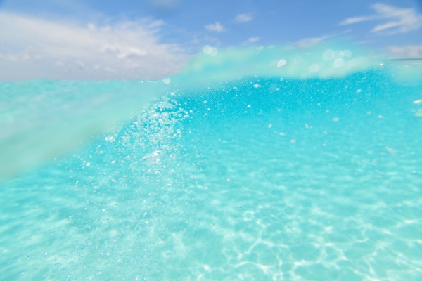 Dive into the Caribbean Sea Bliss 2