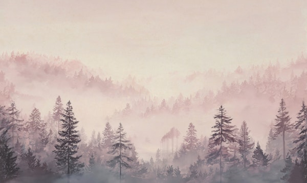 Blush Misty Forest Landscape
