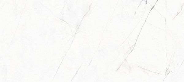 Classic Marble Veins