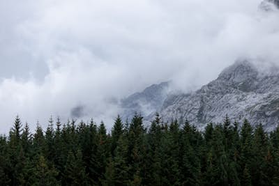 Τοιχογραφία