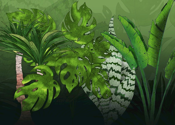 Tropical Jungle Garden