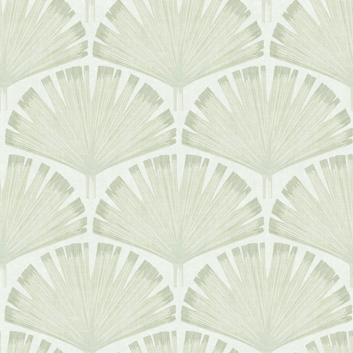 fanpalm