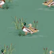 Country Ducks - Mid Green