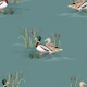 Country Ducks - Deep Teal Blue